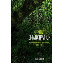Beyond Emancipation Maroon Freedoms in US Literature 18501862 by Sean