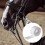 Bit guards for horses, durable silicone wrap tape protection 5
