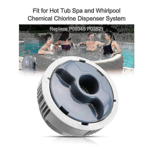 Spa-Adapter für Chemconnect P05345 P03821 Poolausrüstung 1