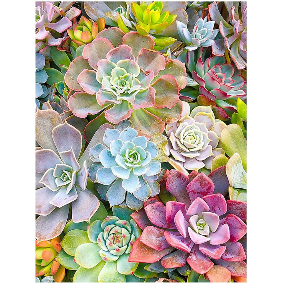 Semoic 5D Diy Diamond Painting Kits For Adults Kids Succulent Full Drill Embroidery Stitch Crystal Rhinestone Paintings