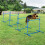 Set per agility dog regolabile in altezza con pali, blu 2