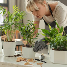 1set Horticultural Signs, Plant Label Inserts, Garden Labels, Landscape Signs,Outdoor Plants Tags with A Pen