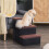 Escalier pliable pour animaux avec rangement, 3 marches, noir 2