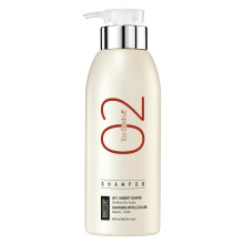 Biotop Professional 02 Eco Dandruff Shampoo - Behandling för torr hårbotten