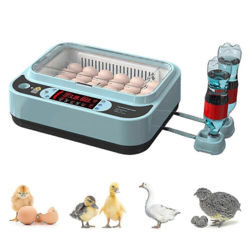 2023  Automatic Egg Incubator Controller Digital Led Temperature Controller Temperature Humidity Sensors Egg Hatcher Cont