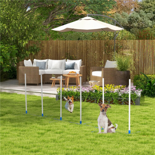 Set di pali per allenamento di agility e slalom per cani, bianco e blu 1
