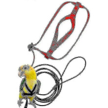 Parrot Bird Harness Leash Outdoor Flying Traction Straps Band Adjustable Anti-bite Training Rope