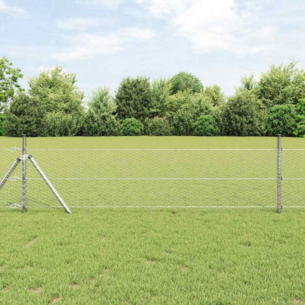 Vidaxl Ground Fix Welded Wire Fence 50 X 0.6 M (W X H)