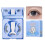 (Style 11) Professional Magnetic Eyelashes Fake False Lashes Set Kit + Applicator 1