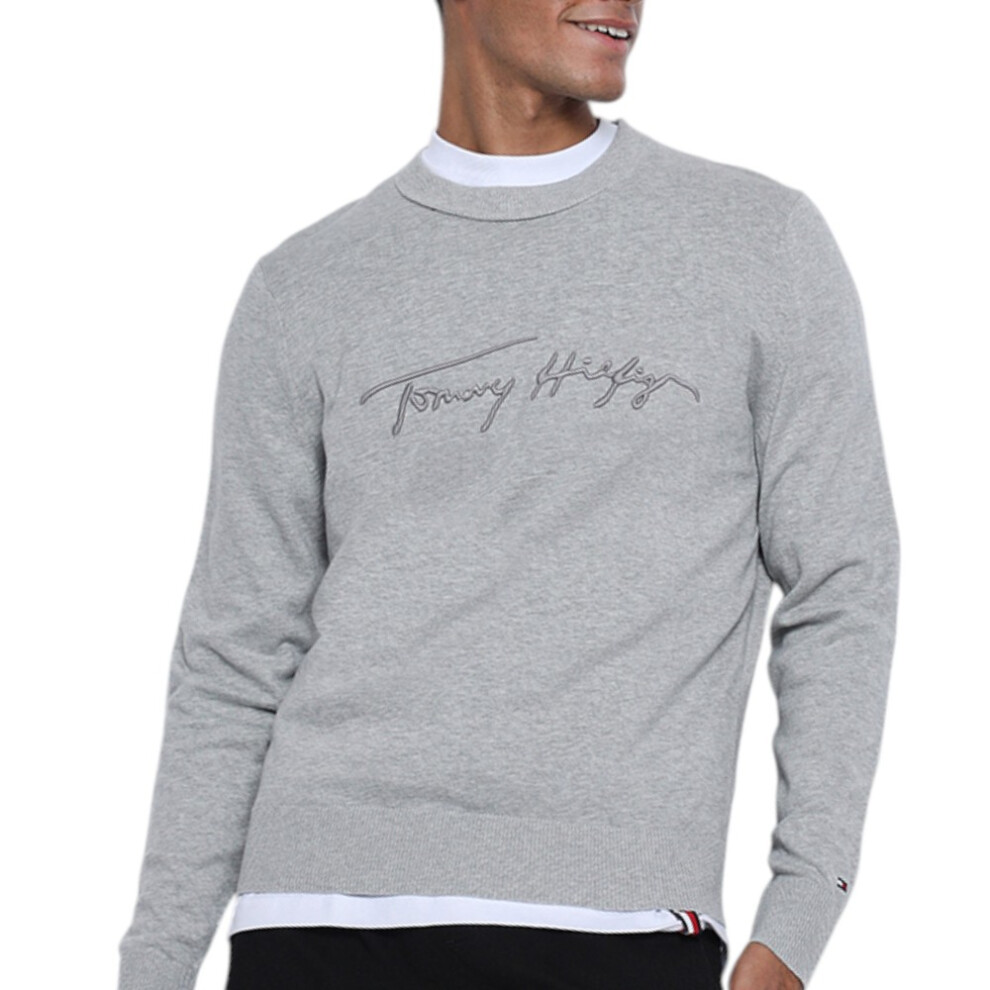 Tommy Hilfiger (Grey, L) Mens Sweatshirt Fleece Pullover