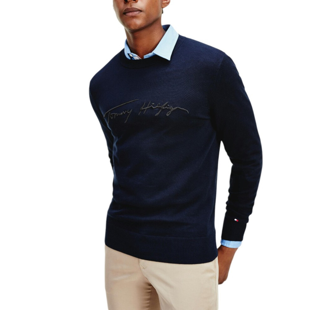 Tommy Hilfiger (Blue, L) Mens Sweatshirt Fleece Pullover