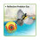 Balloon Bird Repellent-3-Pk-Quickly and Effectively Solve Pest 3