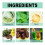 Rosemary Hair Care Essential Oil 5