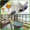 Balloon bird repellent - 3-pack - quick and effective solution to pest problems - scary eyeball balloons 4