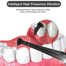 Ultrasonic Tartar Remover, Electric Teeth Cleaning Kit with 3 Cleaning Heads, High Frequency Vibration Technology for Effective Plaque Removal