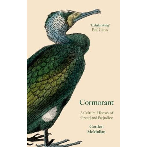 Cormorant by Gordon McMullan Hardcover Book