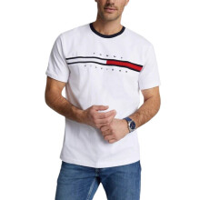 (White, L) Tommy Hilfiger Mens T Shirts Summer Cotton