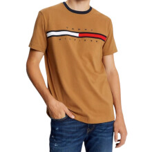 (Brown, M) Tommy Hilfiger Mens T Shirts Summer Cotton
