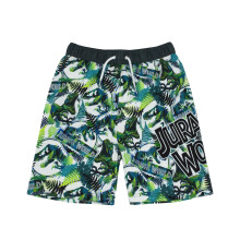 (11-12 Years) Jurassic World Swim Shorts (Boys Green)