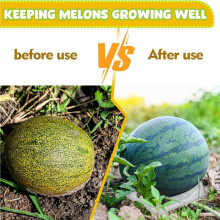 250 St Melonvagga Plast Melonvagga Vattenmelonhållare för Trädgårdsvattenmelonstöd Växtträdgårdsstöd