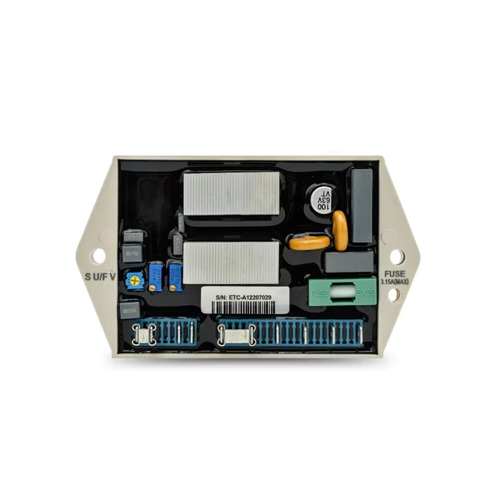 Etc-A1 Avr Generator Automatic Voltage Regulator Stabilizer 220V Brushless Excitation 4711842239676
