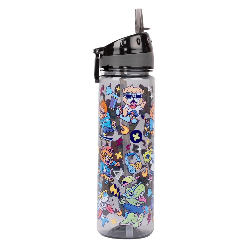 Water Bottle Sippy Cup 650 ml Leakproof with Straw for Kids BPA-Free â kids water bottle 650ml, fringoo leakproof bottle, straw kids water bottle