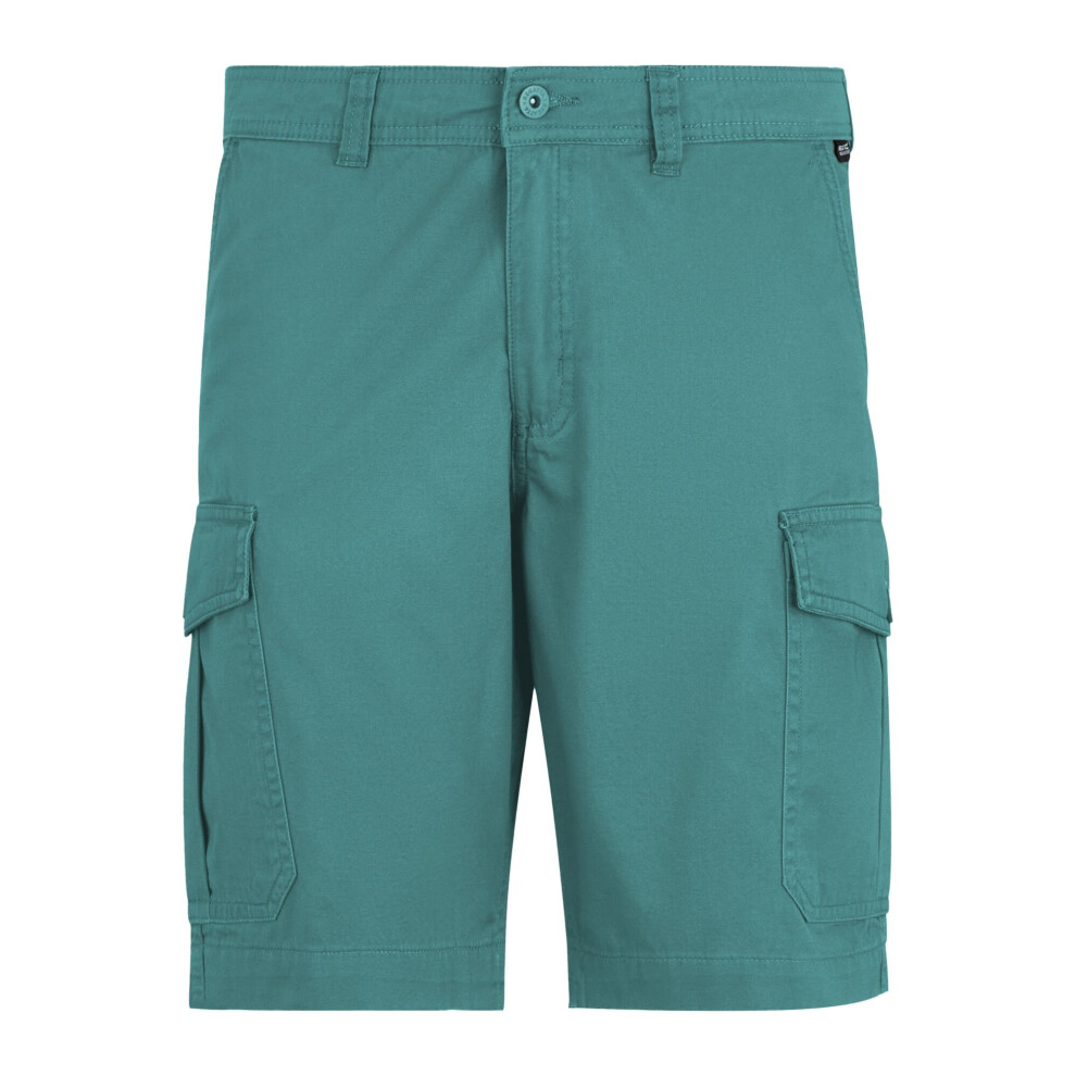 Regatta (38R, Arctic) Mens Ruwan Casual Shorts