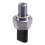 2X 2517254501 Car Pressure Sensor for Jetour Traveller T2 3