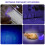2X  Light Flashlight for Pet Urine Detection, Portable UV 395 Nm Light Torch,  LED Detector 5