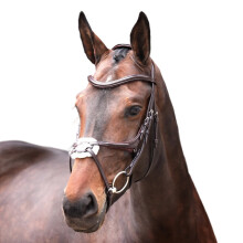 (X Full, Havana) Velociti Lusso Leather Horse Grackle Bridle