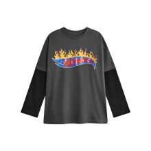 (11-12 Years, Grey) Hot Wheels Boys Flame Logo Long-Sleeved T-Shirt