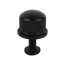 Polished Stainless Steel Seat Bolt for Motorcycles