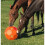 (One Size, Orange) Parallax Plastic Hay Play 2