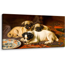 Immagine su Tela Grande Cani 50x100 cm Moderno Cornice in Legno Cani — decorazione parete soggiorno, grafica cani