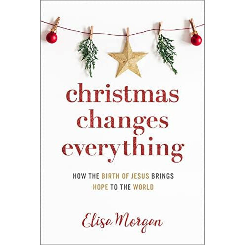Christmas Changes Everything by Elisa Morgan Paperback Book