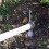 Amtech A2400 Pickaxe Handle, Wooden Mattock Handle, 35" (900mm) 2