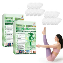 POSOJPIP Moringa Berberine Patches, 2026 Uppgraderad 10-i-1 Nano Mikronålar Plåster