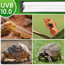 2X T5 UVB Reptile Light Fixture Combo Kit 8W, 10.0 UVB Light for Reptiles, Terrarium Hood Comes with Desert US Plug