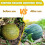 250 Pezzi Culla per Melone Culla per Melone In Plastica Supporto per Anguria per Giardino Supporto per Anguria Supporto per Piante da Giardino 1
