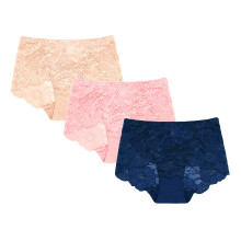 Spitzen-Slips Verführerisch Durchscheinend 3er-Set Mittlere Taille L — spitzenhöschen damen, 3er set slips, durchsichtige spitze, mittlere taille