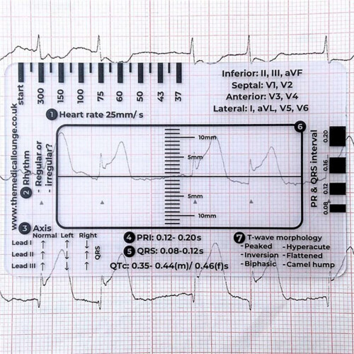16pcs ECG 7 Step Ruler,ECG 7 Step Ruler for ECG/EKG Interpretation,ECG Reference Guide Ruler,EKG Calipers Measuring Tool