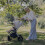 My Babiie MB450 Pushchair - Ivory 7