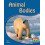 Animal Bodies by Annette Smith Paperback Book 1