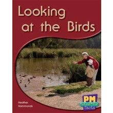 Looking at the Birds by Annette Smith Paperback Book