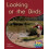 Looking at the Birds by Annette Smith Paperback Book 1