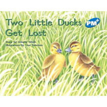 Two Little Ducks Get Lost by Annette Smith Paperback Book