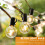 12Pcs 1.5W LED G40 Replacement Bulb 220V Retro Globe Gold Dimmable Bulb for Indoor/Outdoor String Lights E14 Base 7