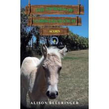 Horses of Saddlers Ranch Acorn by Alison Bellringer Paperback Book