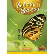 Animal Senses by Kate McArthur Paperback Book