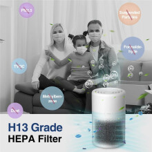 Purifier with HEPA Filter, Activated Carbon, and Negative Ion Generator